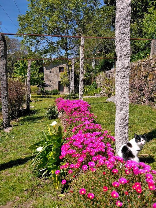 Quinta Da Chanca Paredes de Coura Extérieur photo