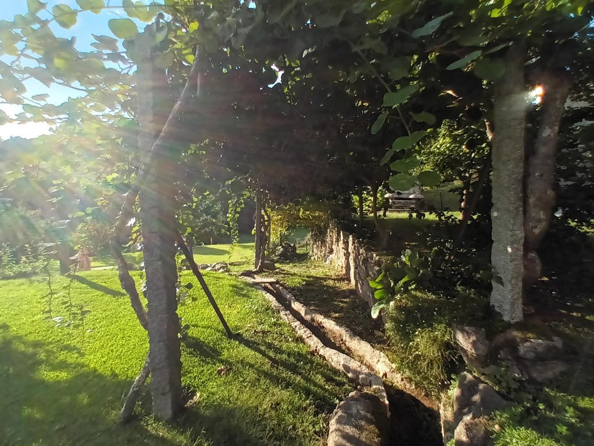 Quinta Da Chanca Paredes de Coura Extérieur photo