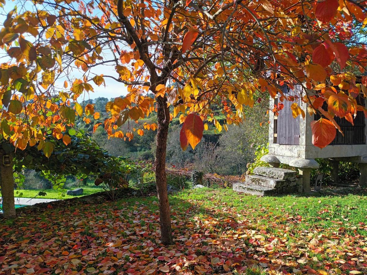 Quinta Da Chanca Paredes de Coura Extérieur photo