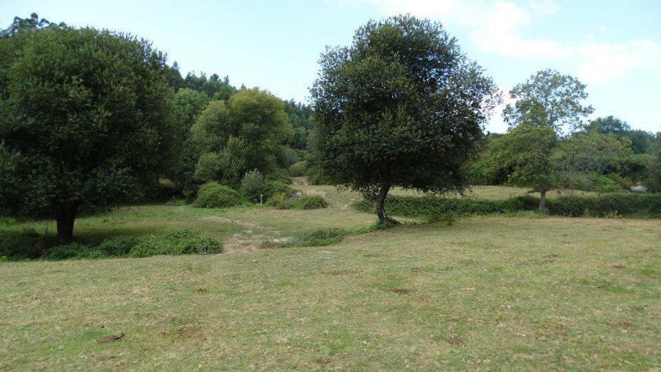 Quinta Da Chanca Paredes de Coura Extérieur photo