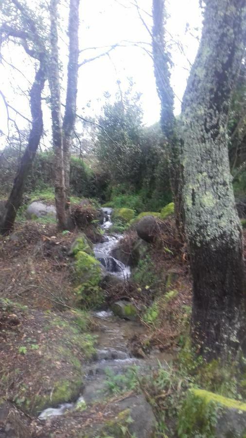 Quinta Da Chanca Paredes de Coura Extérieur photo